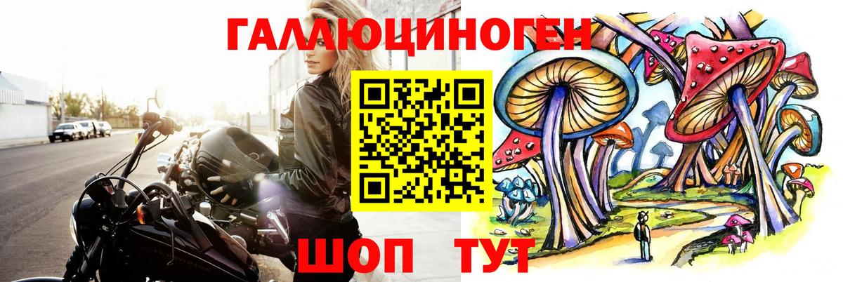 Галлюциногенные грибы Psilocybine cubensis Ногинск